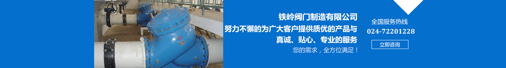 鐵嶺閥門制造有限公司